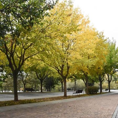 サラマンカDuplex Casa Lis-En Pleno Corazon De La Ciudad-アパートメント エクステリア 写真